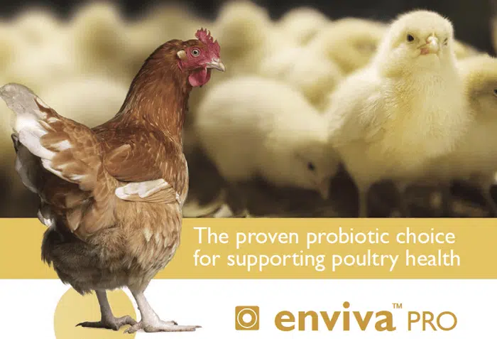 The proven probiotic choice for supporting poultry health - Enviva Pro