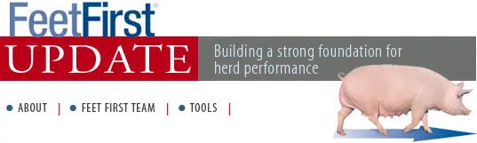 FeetFirst Update. Building a strong foundation for herd performance