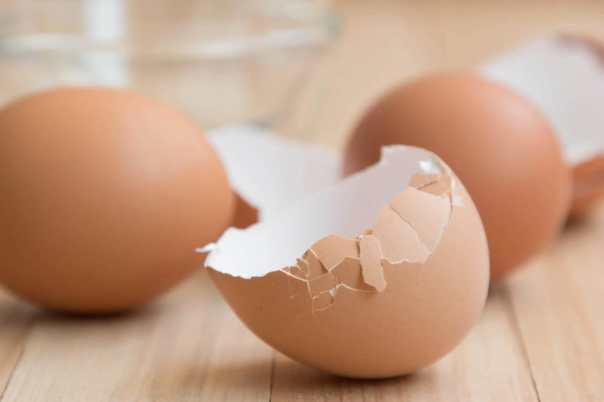 Investing in eggshell quality