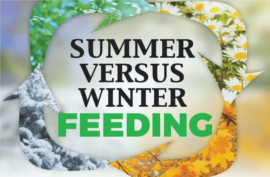 seasonal cycles of summer vs winter feeding